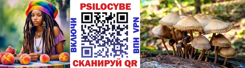 Галлюциногенные грибы Cubensis Олонец